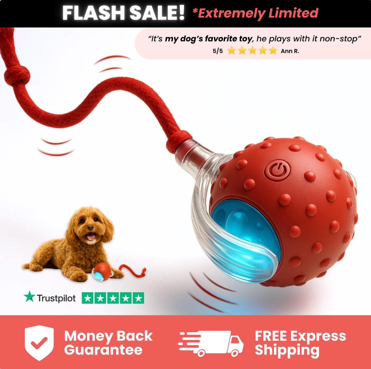 Chase Mate (4-Pack)