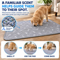 NovaPaw Pup Pad